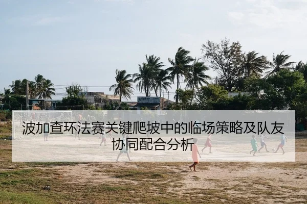 波加查环法赛关键爬坡中的临场策略及队友协同配合分析
